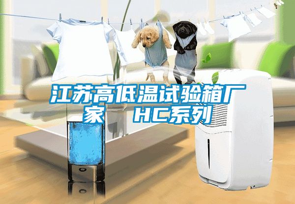 江蘇高低溫試驗箱廠(chǎng)家  HC系列