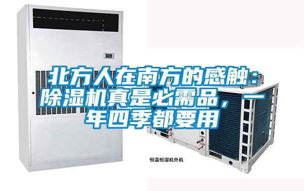 北方人在南方的感觸：除濕機真是必需品，一年四季都要用