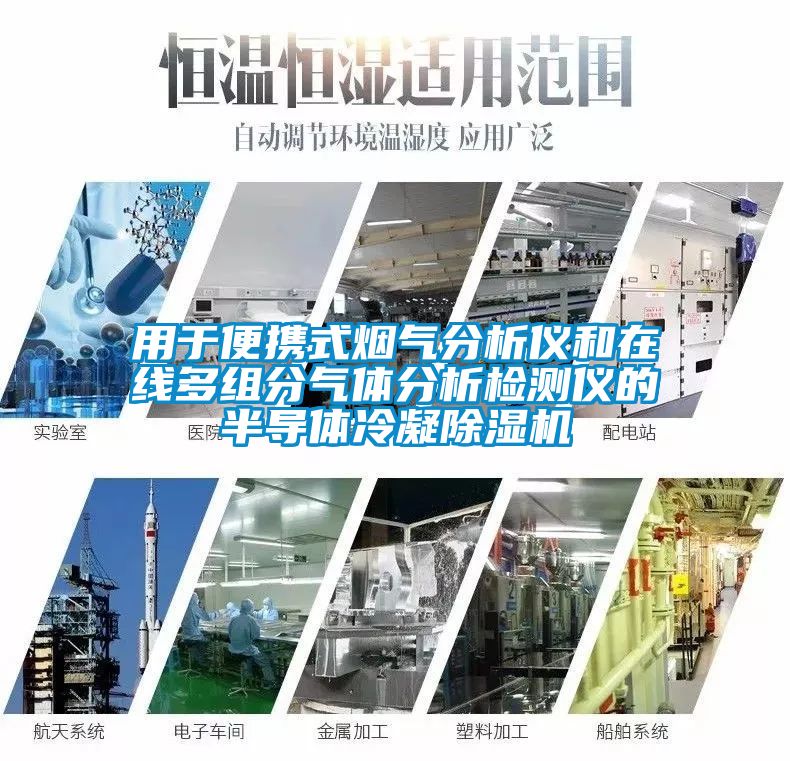 用于便攜式煙氣分析儀和在線(xiàn)多組分氣體分析檢測儀的半導體冷凝除濕機