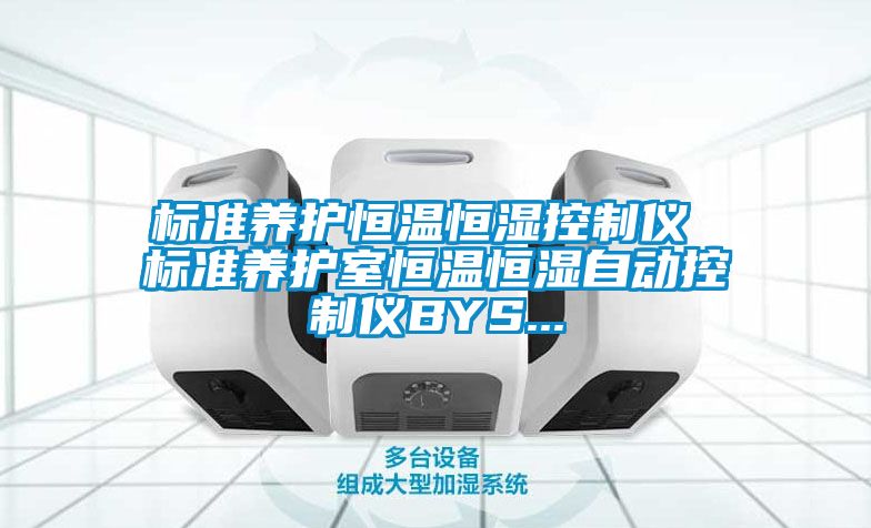 標準養護恒溫恒濕控制儀 標準養護室恒溫恒濕自動(dòng)控制儀BYS...