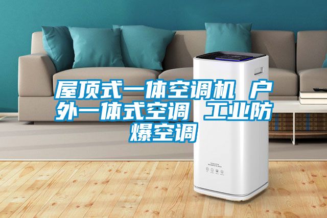 屋頂式一體空調機 戶(hù)外一體式空調 工業(yè)防爆空調