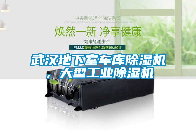 武漢地下室車(chē)庫除濕機，大型工業(yè)除濕機