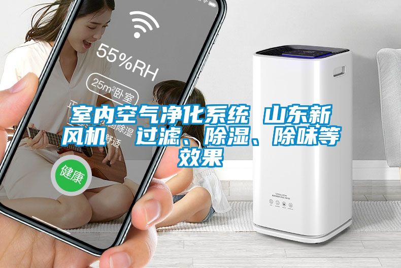 室內空氣凈化系統 山東新風(fēng)機  過(guò)濾、除濕、除味等效果