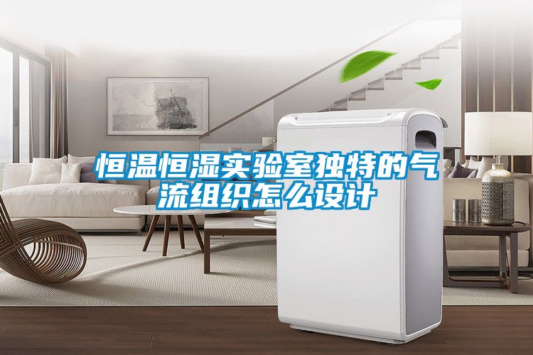 恒溫恒濕實(shí)驗室獨特的氣流組織怎么設計