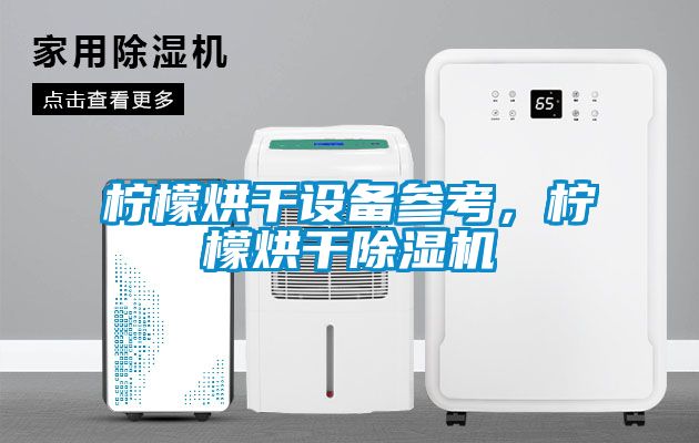 檸檬烘干設備參考，檸檬烘干除濕機