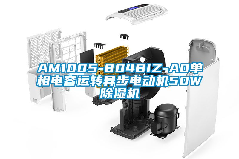 AM1005-804BIZ-A0單相電容運轉異步電動(dòng)機50W除濕機