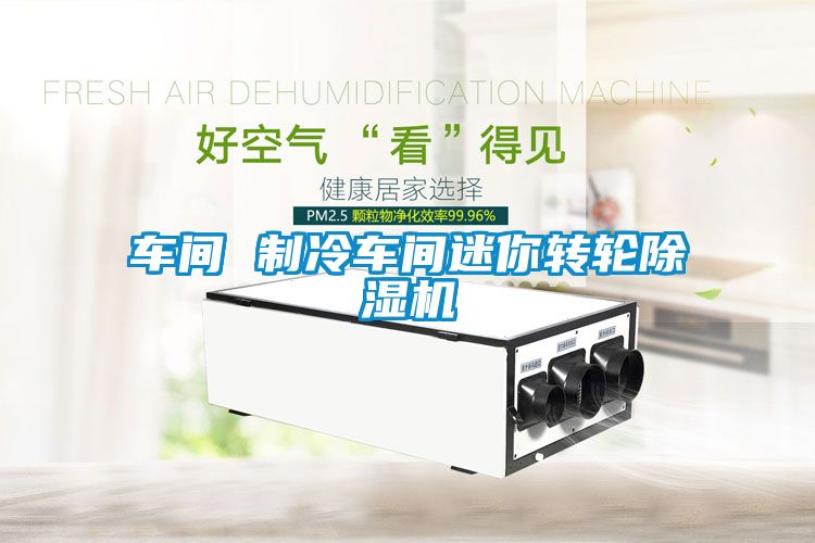 車(chē)間 制冷車(chē)間迷你轉輪除濕機