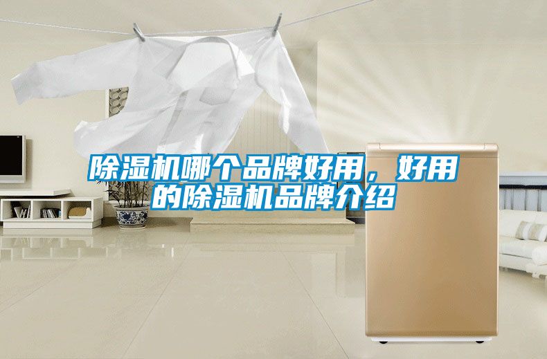 除濕機哪個(gè)品牌好用，好用的除濕機品牌介紹