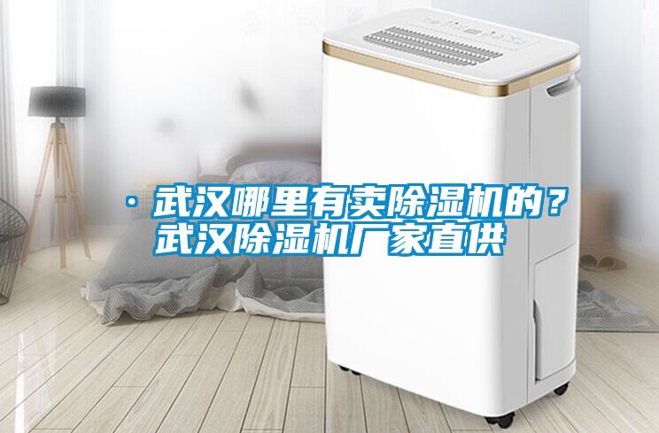 ·武漢哪里有賣(mài)除濕機的？武漢除濕機廠(chǎng)家直供