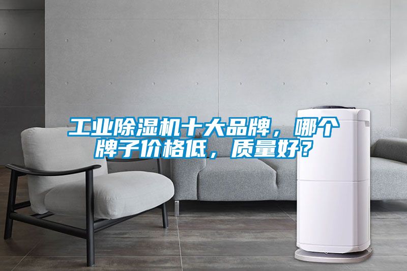工業(yè)除濕機十大品牌，哪個(gè)牌子價(jià)格低，質(zhì)量好？