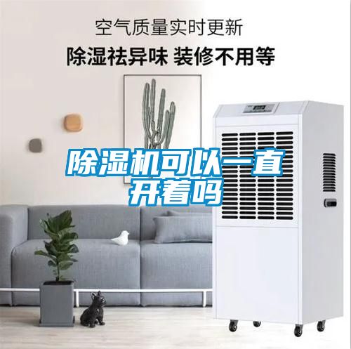 除濕機可以一直開(kāi)著(zhù)嗎