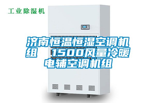 濟南恒溫恒濕空調機組  1500風(fēng)量冷暖電輔空調機組