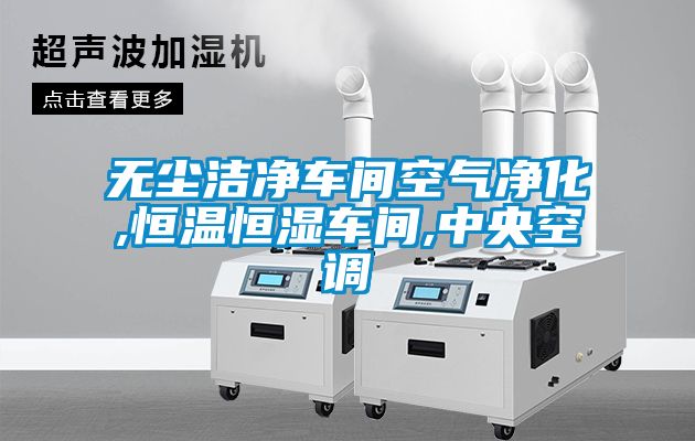 無(wú)塵潔凈車(chē)間空氣凈化,恒溫恒濕車(chē)間,中央空調