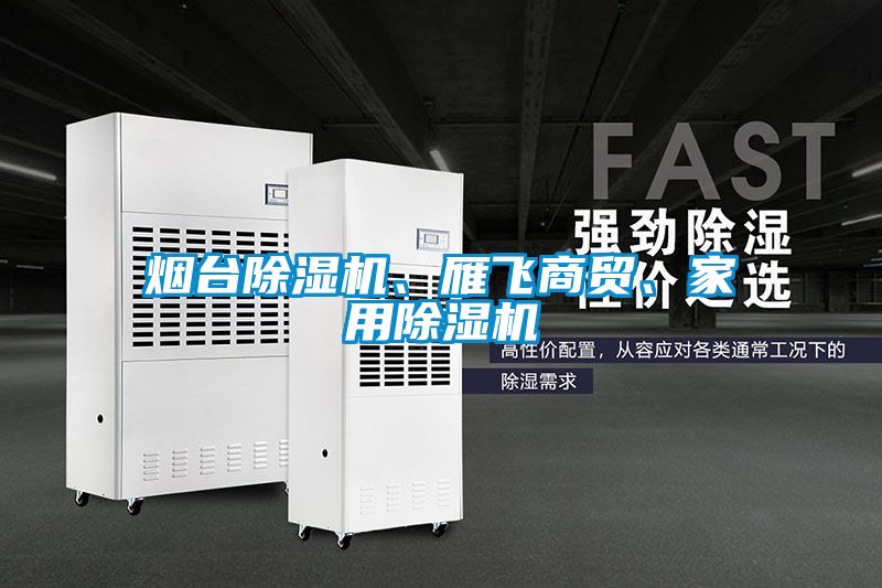 煙臺除濕機、雁飛商貿、家用除濕機