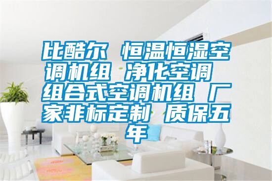 比酷爾 恒溫恒濕空調機組 凈化空調 組合式空調機組 廠(chǎng)家非標定制 質(zhì)保五年