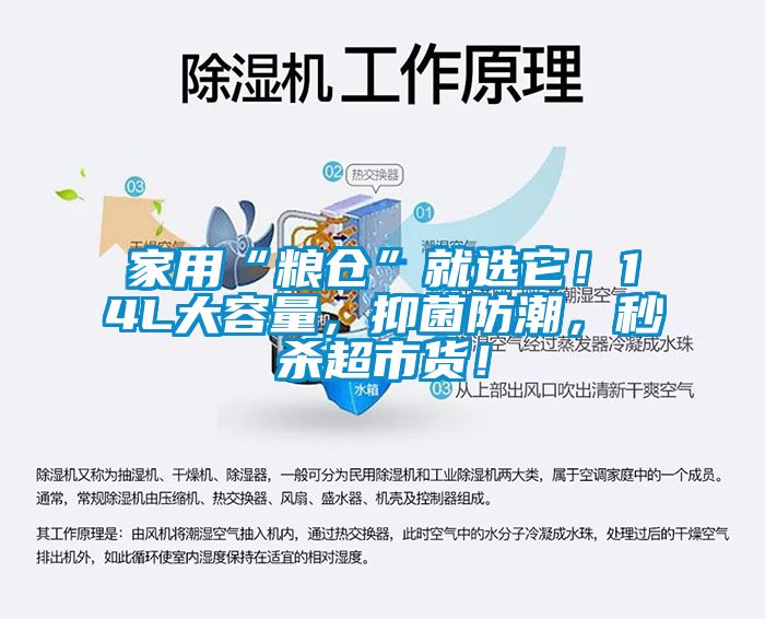 家用“糧倉”就選它！14L大容量，抑菌防潮，秒殺超市貨！
