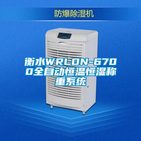 衡水WRLDN-6700全自動(dòng)恒溫恒濕稱(chēng)重系統
