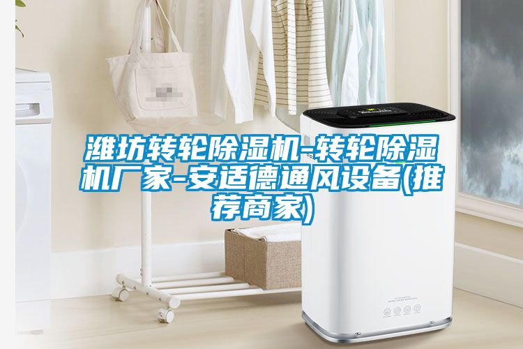 濰坊轉輪除濕機-轉輪除濕機廠(chǎng)家-安適德通風(fēng)設備(推薦商家)
