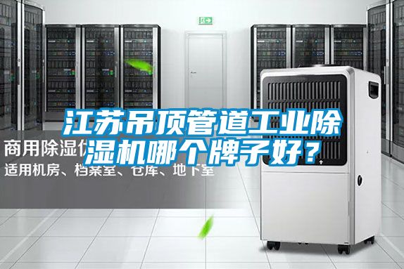 江蘇吊頂管道工業(yè)除濕機哪個(gè)牌子好？