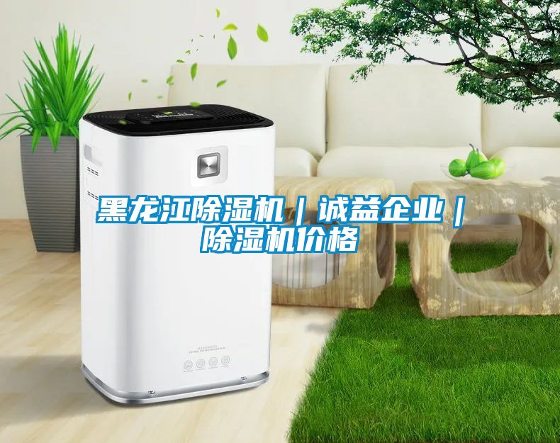 黑龍江除濕機｜誠益企業(yè)｜除濕機價(jià)格