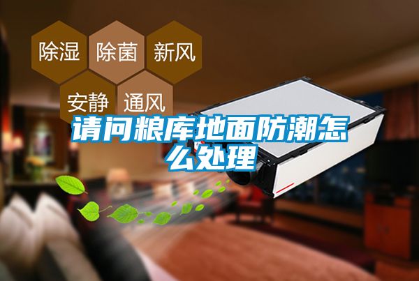 請問(wèn)糧庫地面防潮怎么處理