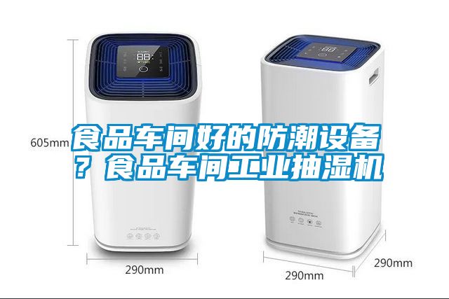 食品車(chē)間好的防潮設備？食品車(chē)間工業(yè)抽濕機