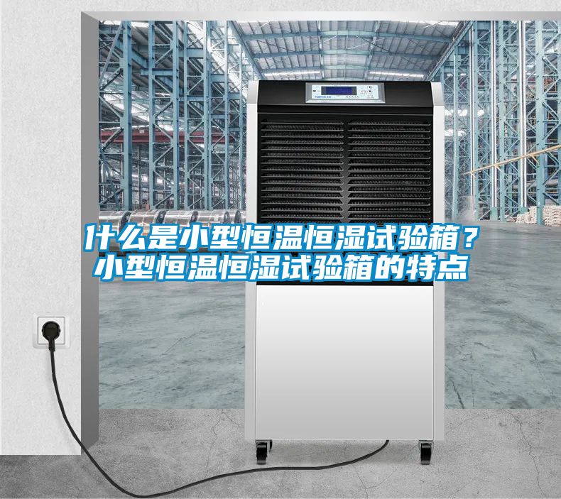 什么是小型恒溫恒濕試驗箱？小型恒溫恒濕試驗箱的特點(diǎn)