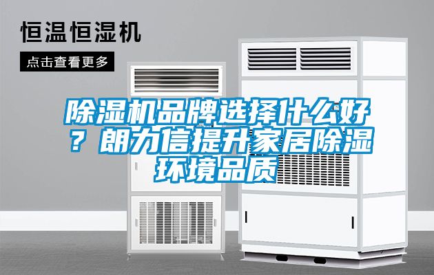 除濕機品牌選擇什么好？朗力信提升家居除濕環(huán)境品質(zhì)