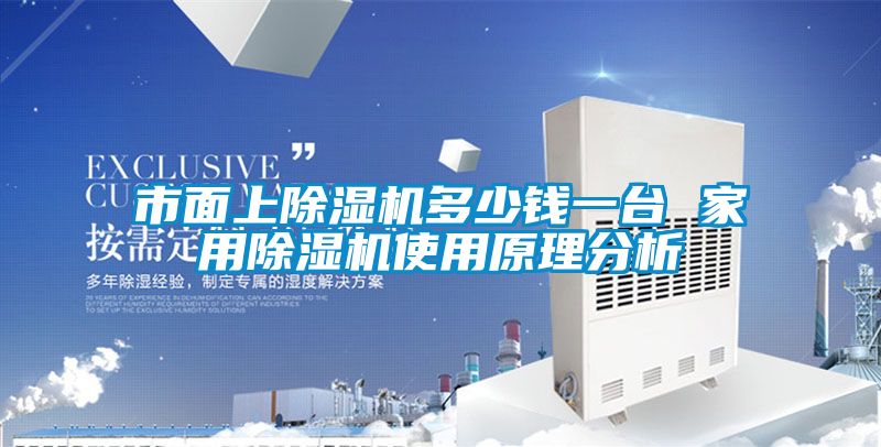 市面上除濕機多少錢(qián)一臺 家用除濕機使用原理分析
