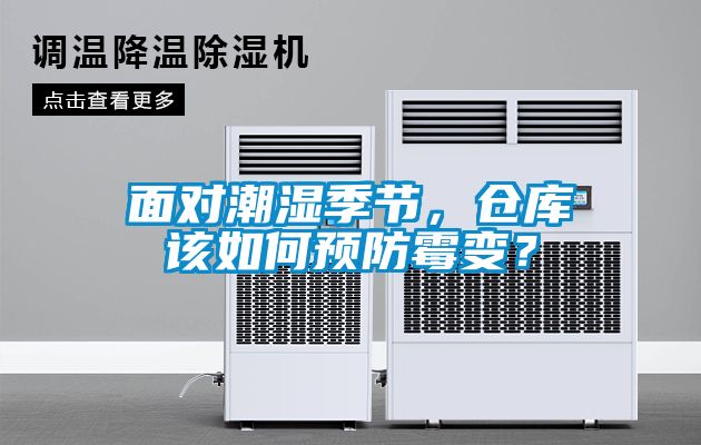面對潮濕季節，倉庫該如何預防霉變？