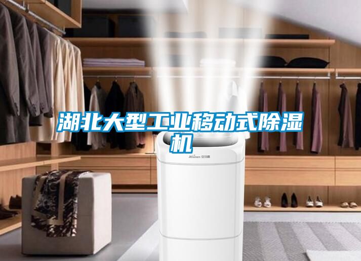 湖北大型工業(yè)移動(dòng)式除濕機