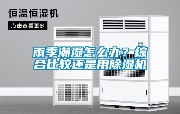 雨季潮濕怎么辦？綜合比較還是用除濕機