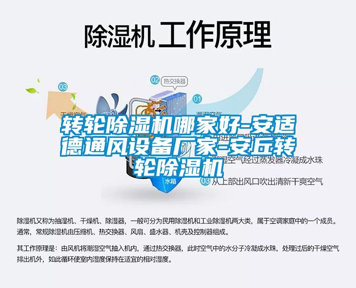 轉輪除濕機哪家好-安適德通風(fēng)設備廠(chǎng)家-安丘轉輪除濕機