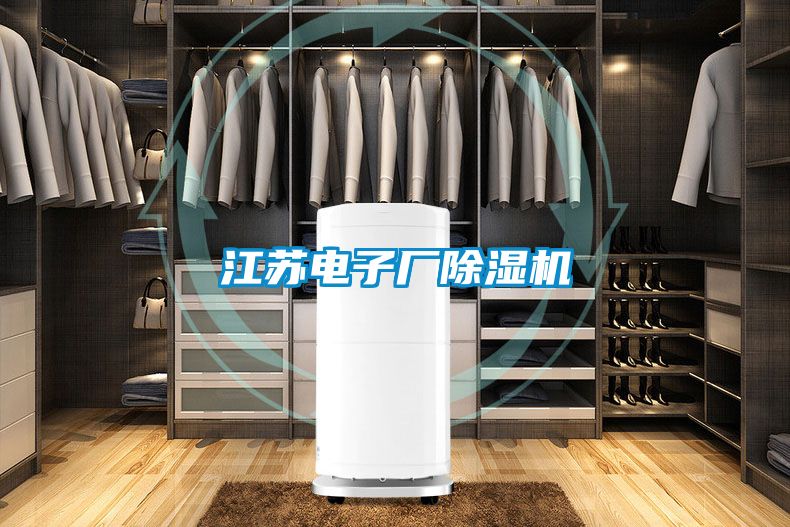 江蘇電子廠(chǎng)除濕機
