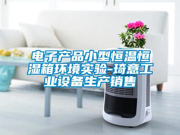 電子產(chǎn)品小型恒溫恒濕箱環(huán)境實(shí)驗-琦意工業(yè)設備生產(chǎn)銷(xiāo)售