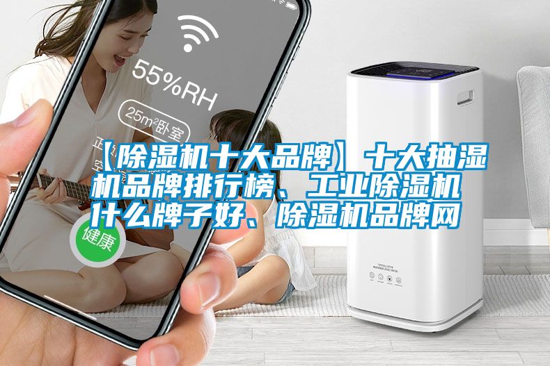 【除濕機十大品牌】十大抽濕機品牌排行榜、工業(yè)除濕機什么牌子好、除濕機品牌網(wǎng)