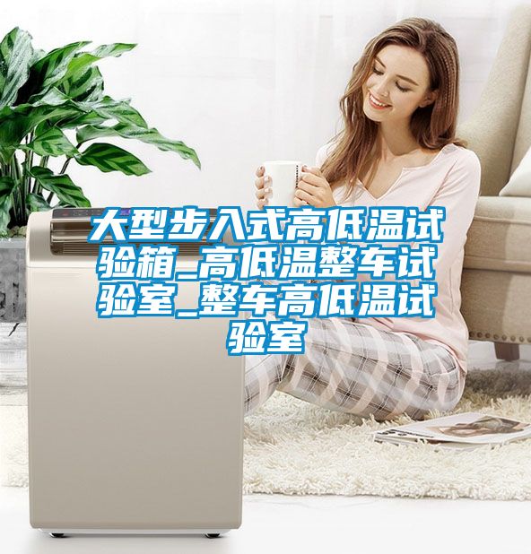大型步入式高低溫試驗箱_高低溫整車(chē)試驗室_整車(chē)高低溫試驗室