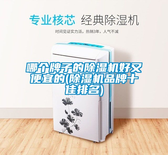 哪個(gè)牌子的除濕機好又便宜的(除濕機品牌十佳排名)