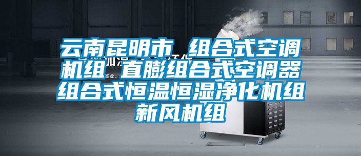 云南昆明市 組合式空調機組 直膨組合式空調器組合式恒溫恒濕凈化機組新風(fēng)機組