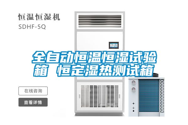 全自動(dòng)恒溫恒濕試驗箱 恒定濕熱測試箱