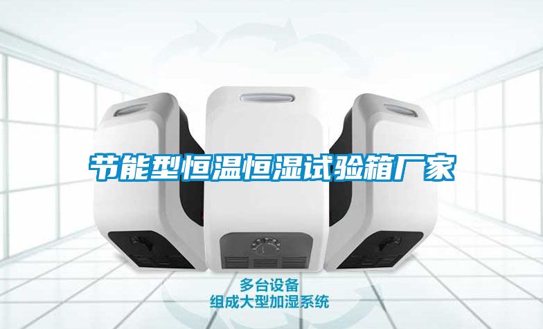 節能型恒溫恒濕試驗箱廠(chǎng)家