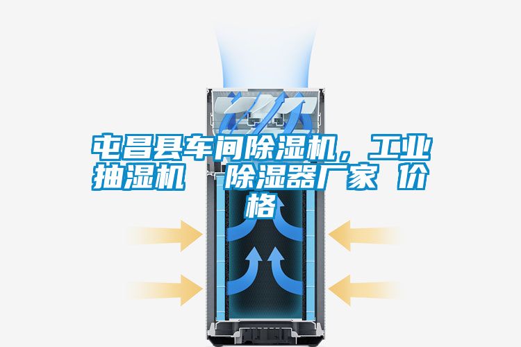 屯昌縣車(chē)間除濕機，工業(yè)抽濕機  除濕器廠(chǎng)家 價(jià)格
