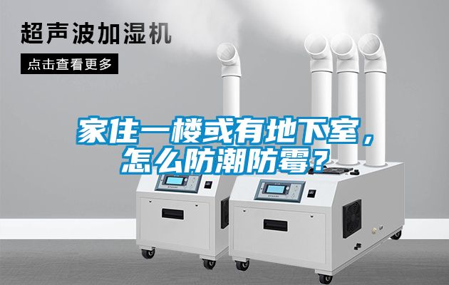 家住一樓或有地下室，怎么防潮防霉？