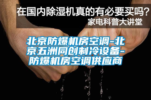 北京防爆機房空調-北京五洲同創(chuàng  )制冷設備-防爆機房空調供應商