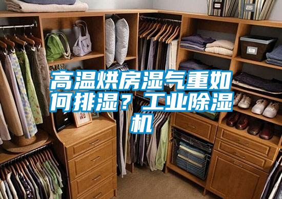 高溫烘房濕氣重如何排濕？工業(yè)除濕機