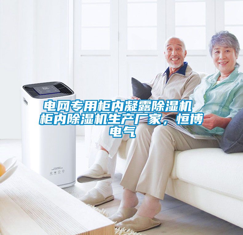 電網(wǎng)專(zhuān)用柜內凝露除濕機 柜內除濕機生產(chǎn)廠(chǎng)家，恒博電氣