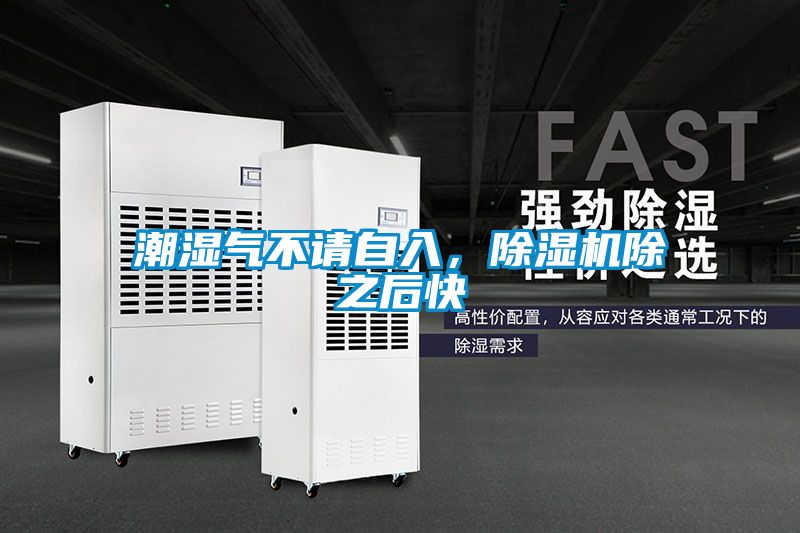潮濕氣不請自入，除濕機除之后快