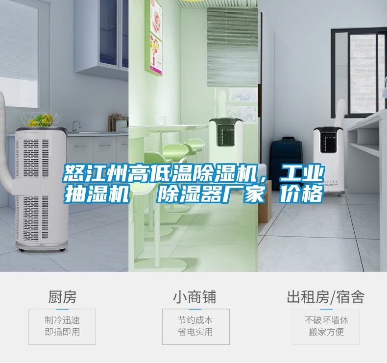 怒江州高低溫除濕機，工業(yè)抽濕機  除濕器廠(chǎng)家 價(jià)格
