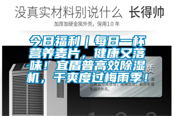今日福利｜每日一杯營(yíng)養麥片，健康又落味！宜盾普高效除濕機，干爽度過(guò)梅雨季！