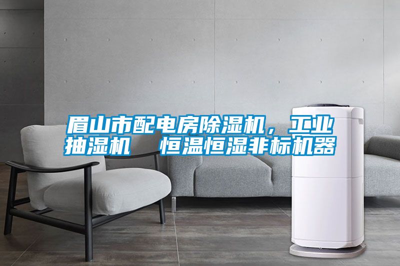 眉山市配電房除濕機，工業(yè)抽濕機  恒溫恒濕非標機器